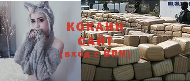 наркотики  Катав-Ивановск  COCAIN Fish Scale 