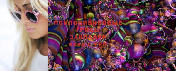 сатива Наволоки